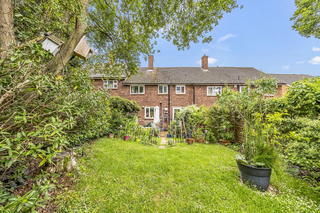 Garden view, garden