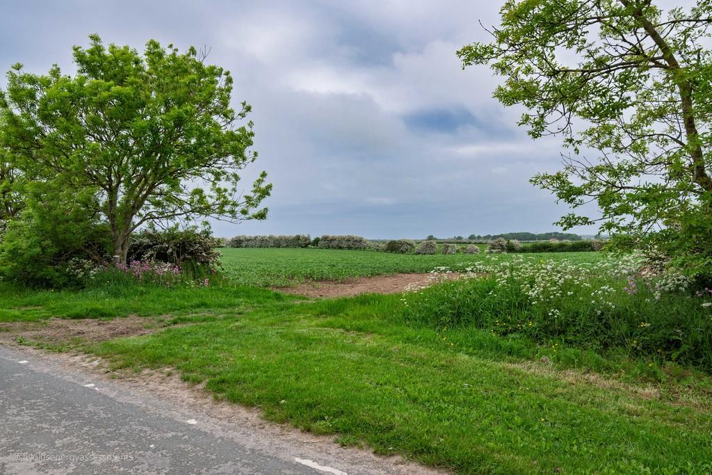 Land At Bempton Lane - View 2