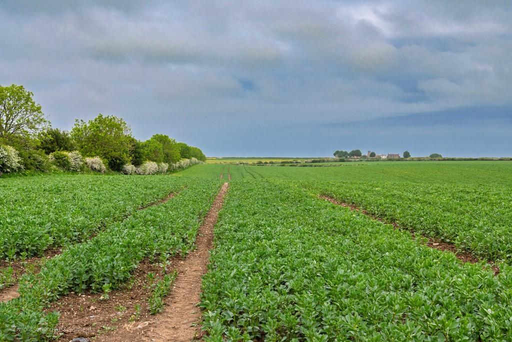 Land At Bempton Lane - View 3