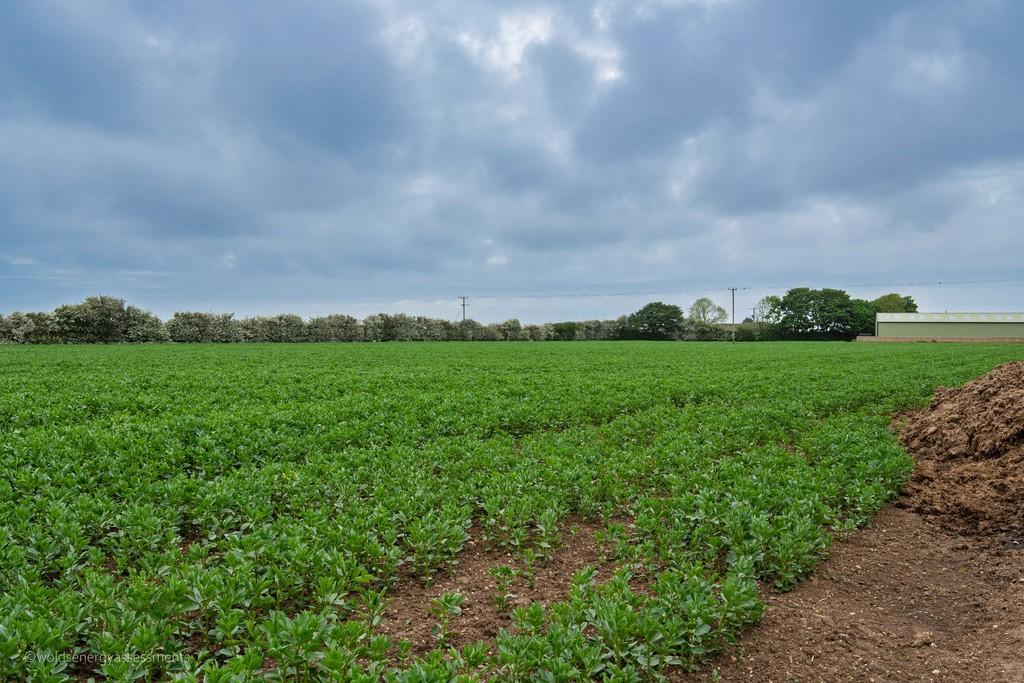 Land At Bempton Lane - View 4