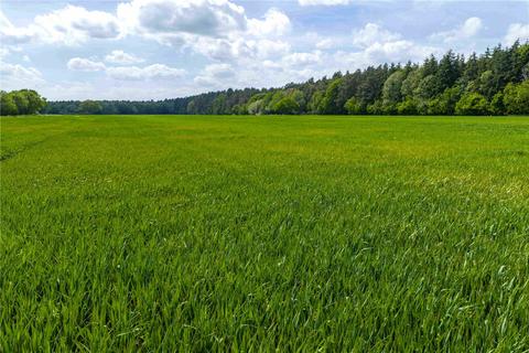 Land for sale, Stapleford, Lincoln, Lincolnshire