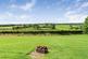 Sheepwash, Beaworthy photo 2