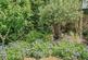 Additional image 27 of Wellswood Avenue, Torquay TQ1