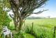 Additional image 15 of Lower Drift, Buryas Bridge, Penzance, Cornwall, TR19