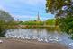 Mistletoe Way, Worcester WR6 photo 4