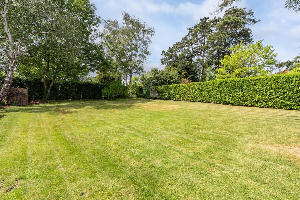 Garden view, garden