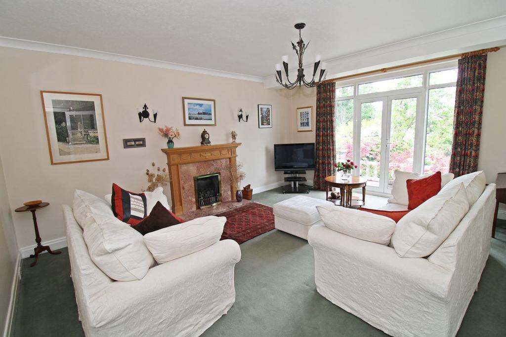 Living room, fireplace