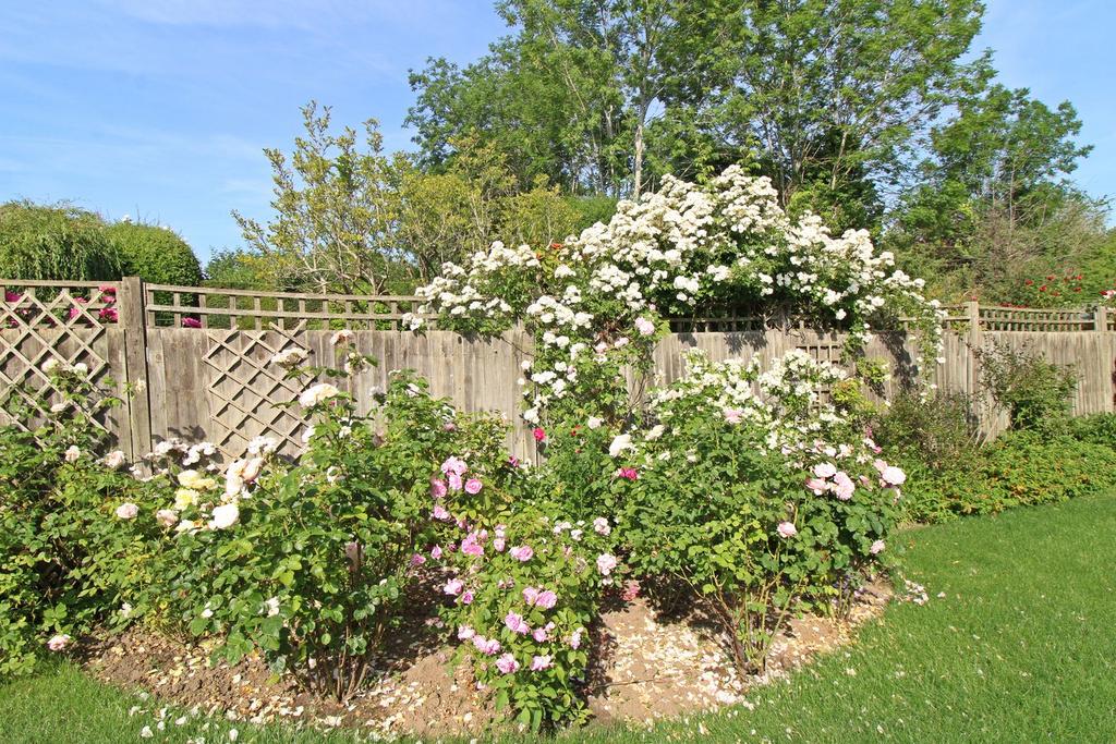 Garden view, garden