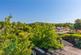 Additional image 15 of Green Lane, Addingham, Ilkley, West Yorkshire, LS29