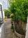 Additional image 10 of Marland Terrace, Bideford, Devon, EX39