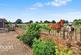 Linga Lane, Bassingham photo 3
