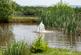 Additional image 43 of Fferm Fach, Llangeitho, Tregaron, SY25 6SY
