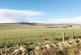 Olgrinmore, Halkirk KW12 photo 5