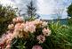 Additional image 36 of Glandovey Terrace, Aberdovey, LL35