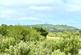 Additional image 26 of Lanner - Between Truro, Falmouth and Redruth