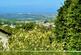 Additional image 29 of Lanner - Between Truro, Falmouth and Redruth
