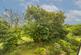 Additional image 14 of Willow Court, Clyne Common, Swansea