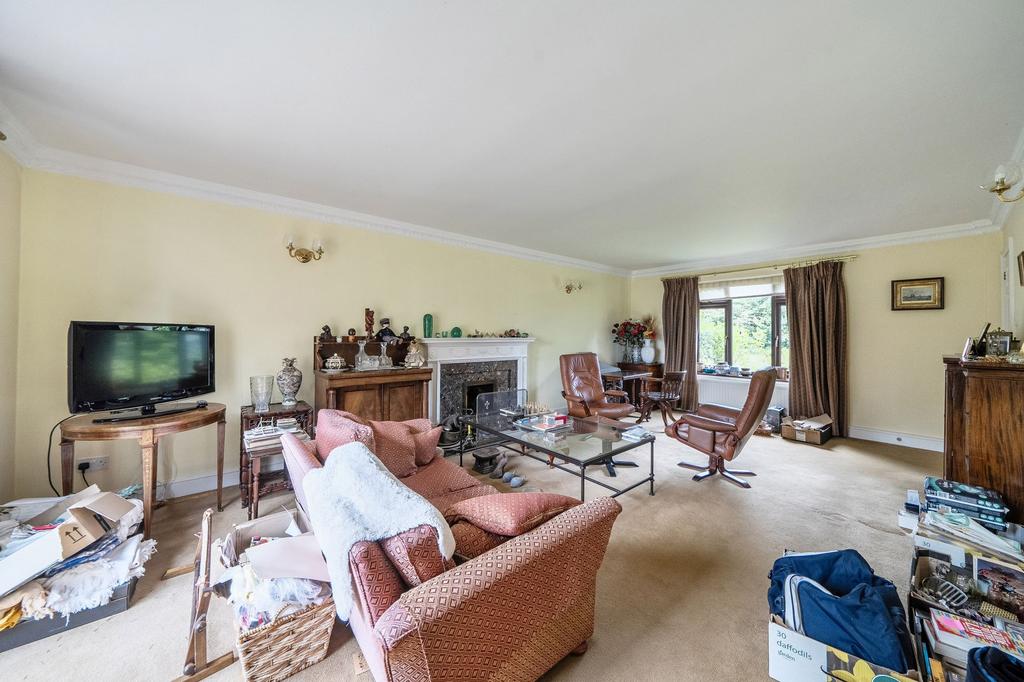 Living room, fireplace