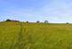 Additional image 6 of Sidehead, Bishop Auckland DL13