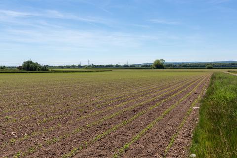 Land for sale, Lot 2 | Land At Hall Farm, Puddington Lane, Puddington, Cheshire, CH64