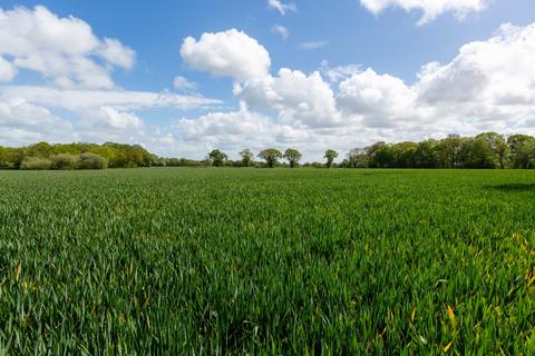 Land for sale, Lot 3 | Top Land, Puddington Lane, Puddington, Cheshire, CH64