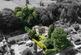 Kebroyd Mount, Sowerby Bridge HX6