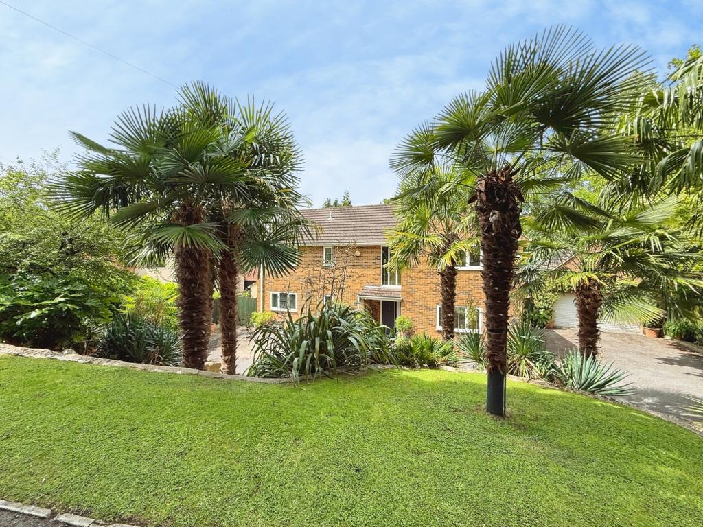 House exterior, garden