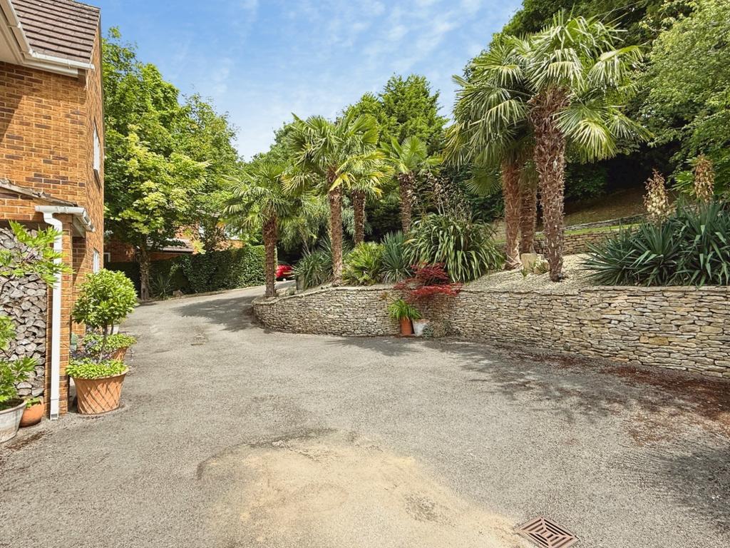 Driveway view, driveway