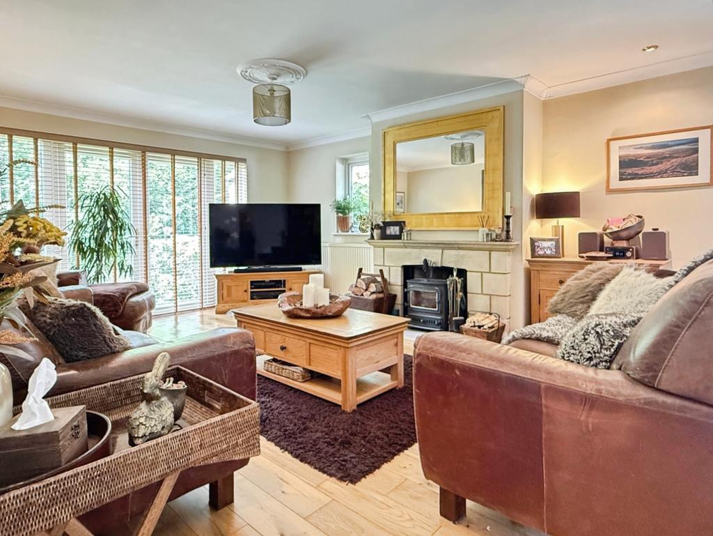 Living room, fireplace