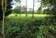 Additional image 18 of Moorside Road, Urmston,