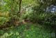 Greenways, Eaton photo 5