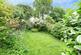 Rupert Road, Sheffield, S7 photo 3