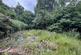 Additional image 26 of Wimpole Grove, Kingstanding, Birmingham