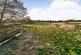 Additional image 3 of East of Bennetts Lane, Pattingham, Wolverhampton, WV6