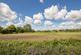 Long Lane, West Winch photo 4