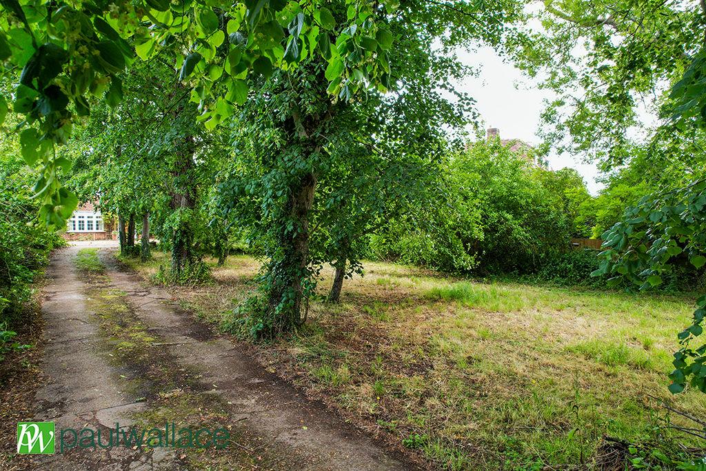 Driveway and Front