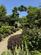 Additional image 21 of St Winnow,  Cornwall