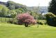 Additional image 22 of St Winnow,  Cornwall