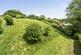 Additional image 8 of Simonsbath, Minehead