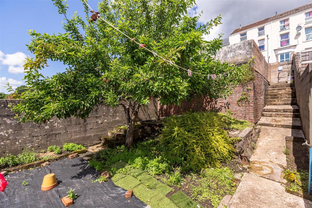 Garden view, garden