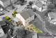 Additional image 28 of Ascot Drive, Bradford BD7