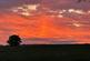 Additional image 18 of 24 Pitgrudy Holiday Park, Dornoch, IV25 3HY
