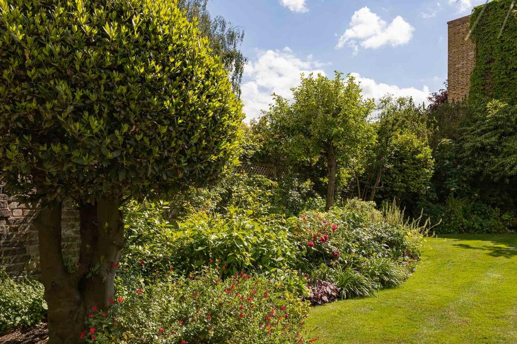 Garden view, garden