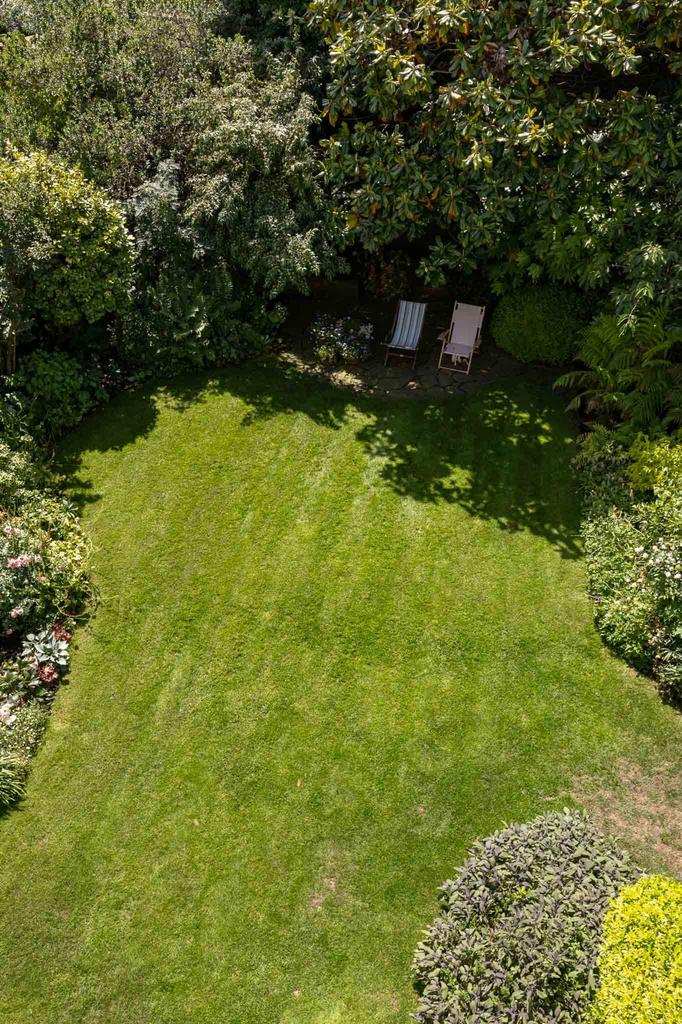 Garden view, garden