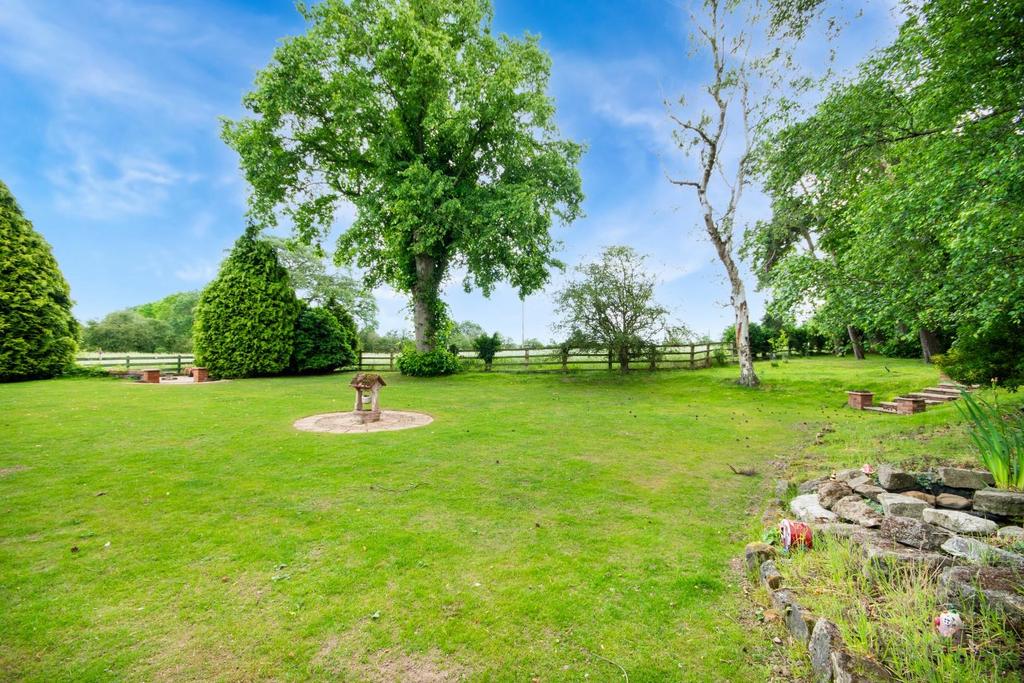 Garden view, garden