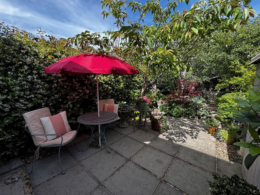 Garden view, garden