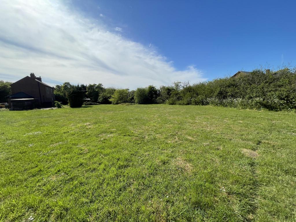 Garden view, garden