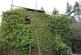 Additional image 16 of Lower Kyrewood Farm Buildings, Kyrewood, WR15