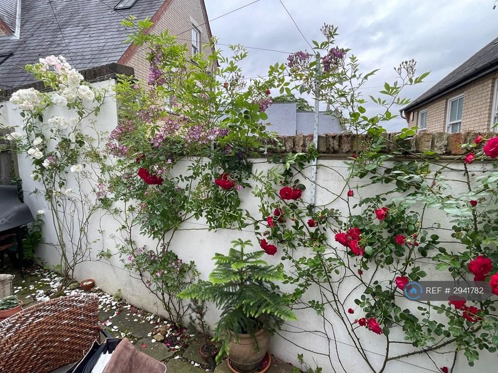 House in Cambridge, Newnham - View 4