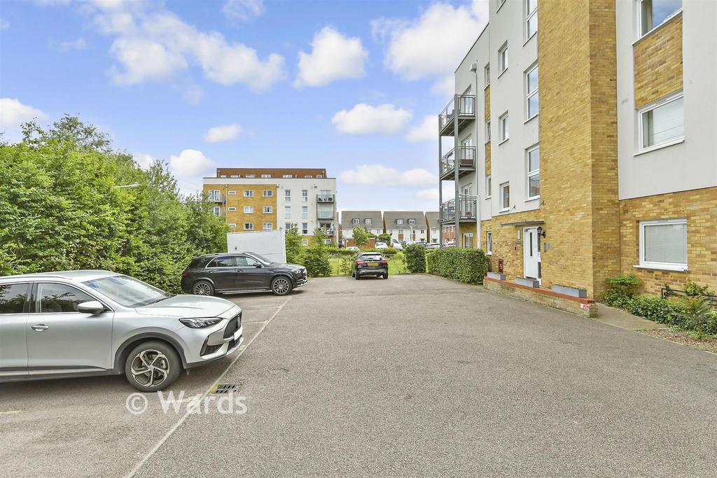 Driveway/Parking